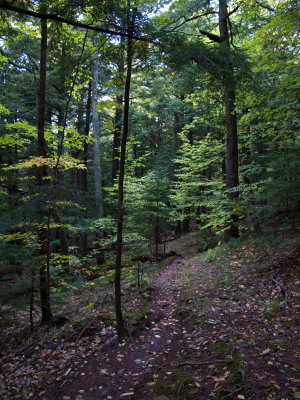 Porcupine Mtns. Wilderness