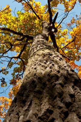 Keweenaw Peninsula