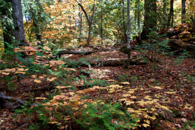 Keweenaw Peninsula