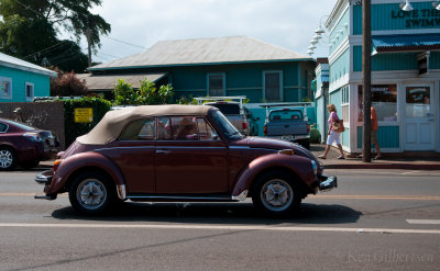 Paia VW