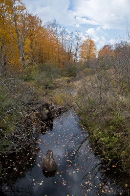 Porcupine Mountains Wilderness