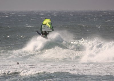 Windsurfer