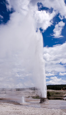 Yellowstone and Grand Teton National Parks