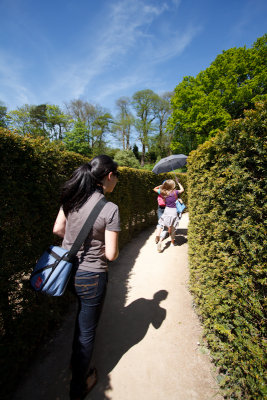 Hedge Maze, Leeds Castle