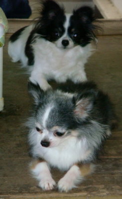 Sasha & Jake