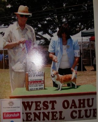 West Oahu Kennel club shows-Aug. 2010