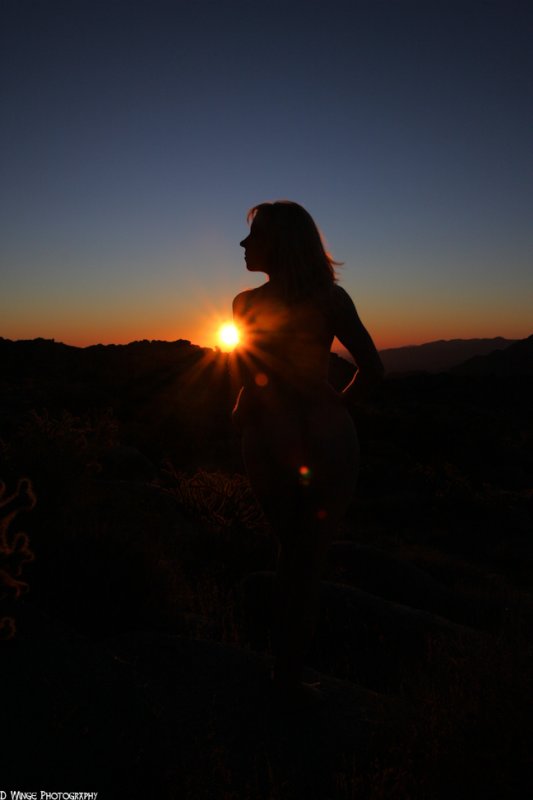 IMG_3238 (Groovy Silhouette) photo - David Winge photos at pbase.com