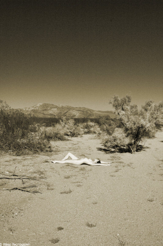 IMG_2433 (Desert Art Nude)