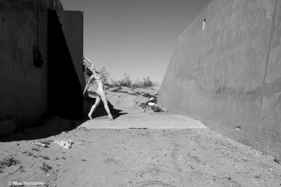 IMG_1877 (Out of the Shelter)