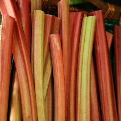 JZ7A2127 Rubarb
