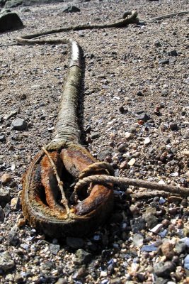 Mooring Line at Low Tide