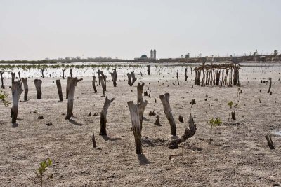 A Mosque Stands Watch Over Empty Garnary Stilts