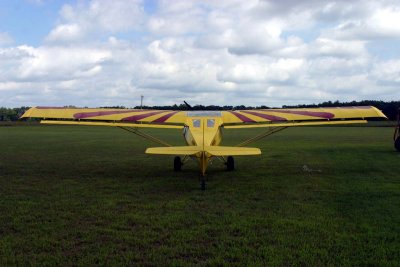 kitfox