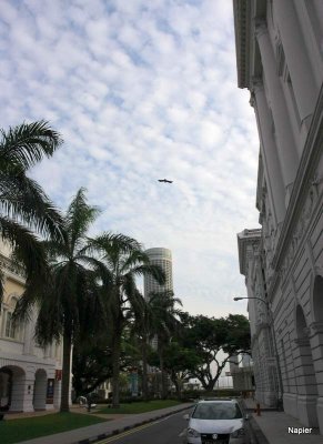 IMG_3277.JPG