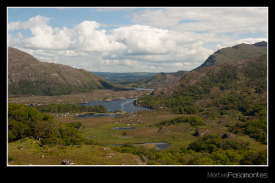 Lady's view