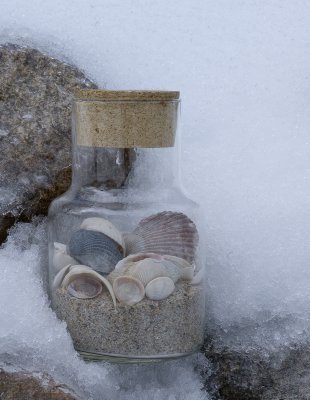 HM GCC Novice Sand and Ice