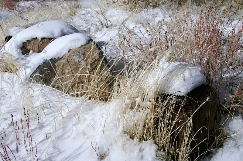 PICT4381.JPG