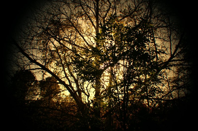 PICT9405.JPG