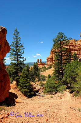 Red Canyon near Bryce