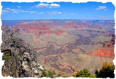 Grand Canyon, Arizona 2006