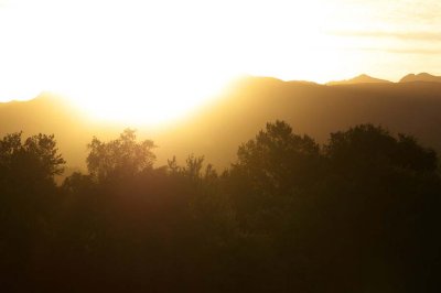 Remarkable powers of reason