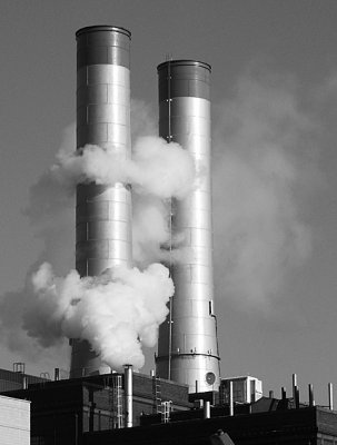 PC120609bw web.jpg