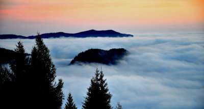 Insel im Nebel.jpg