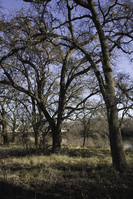 20090118_1324.jpg