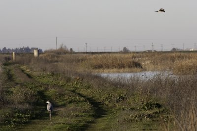 20090118_1127.jpg