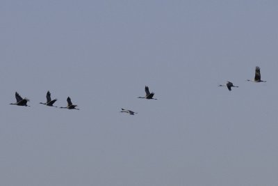 20090118_1130.jpg