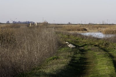 20090118_1136.jpg