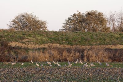 20090118_1160.jpg