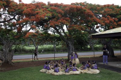 Koloa-Hulau.jpg