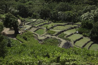 LimahuliGdns1.jpg
