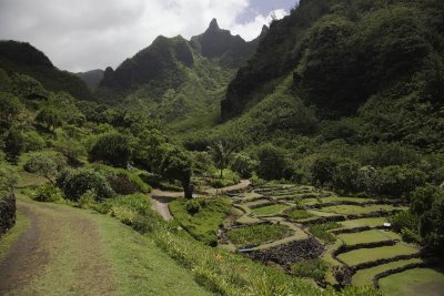 LimahuliGdns2.tif