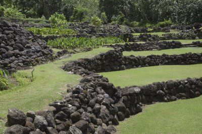 LimahuliGdns3.jpg