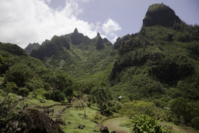 LimahuliGdns6.jpg