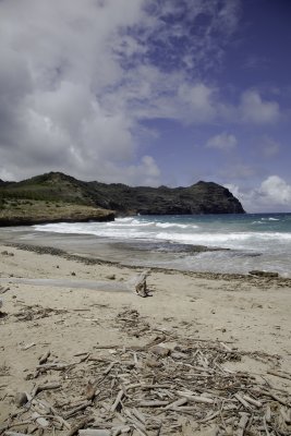Mahalepu-Beach2.jpg