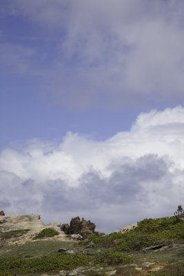 Mahalepu-Sky1.jpg