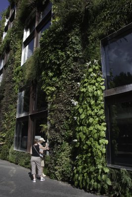 Paris03-MuseeQuaiBranly.jpg