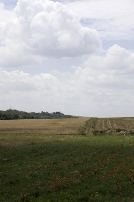 Somme02-Poppies.jpg