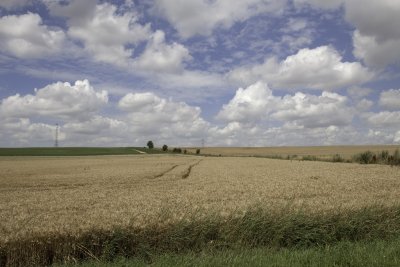 Somme03.jpg