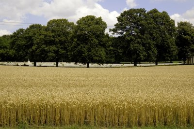 Somme05-SoAfrCemetery.jpg