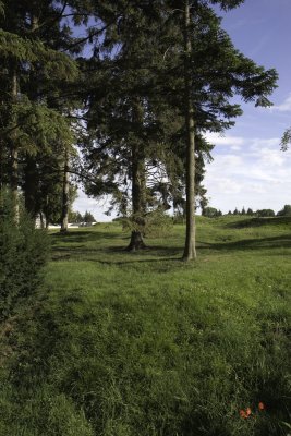 Somme22.jpg