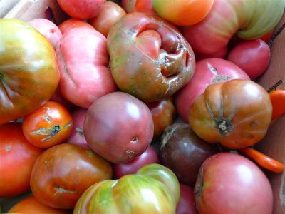 heirloom tomatoes