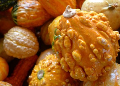 gourds