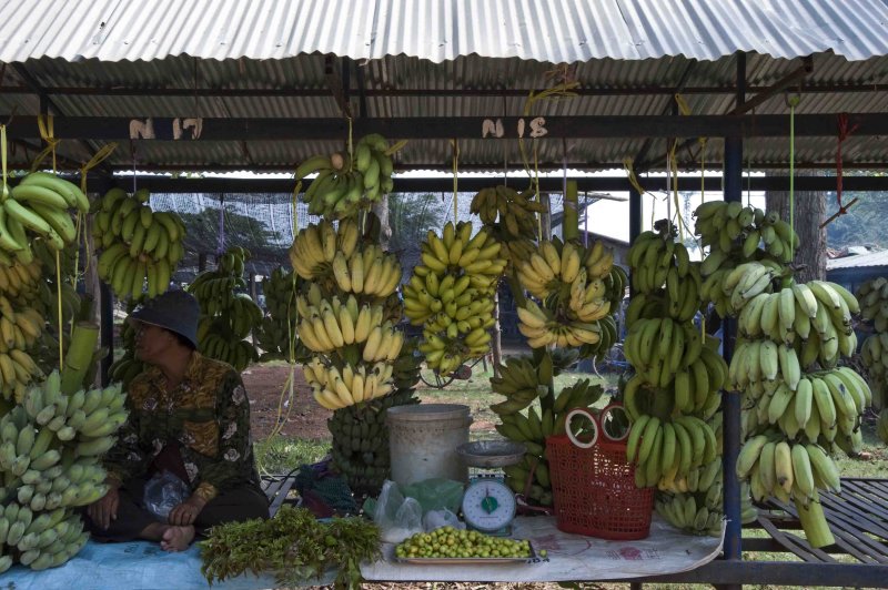 12 Banana Varieties.jpg