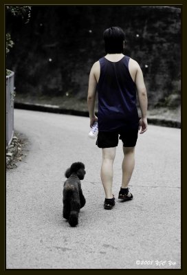 Follow the Master.jpg