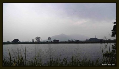 2008 1013 Yuen Long