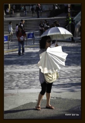 Sun Shy Female.jpg